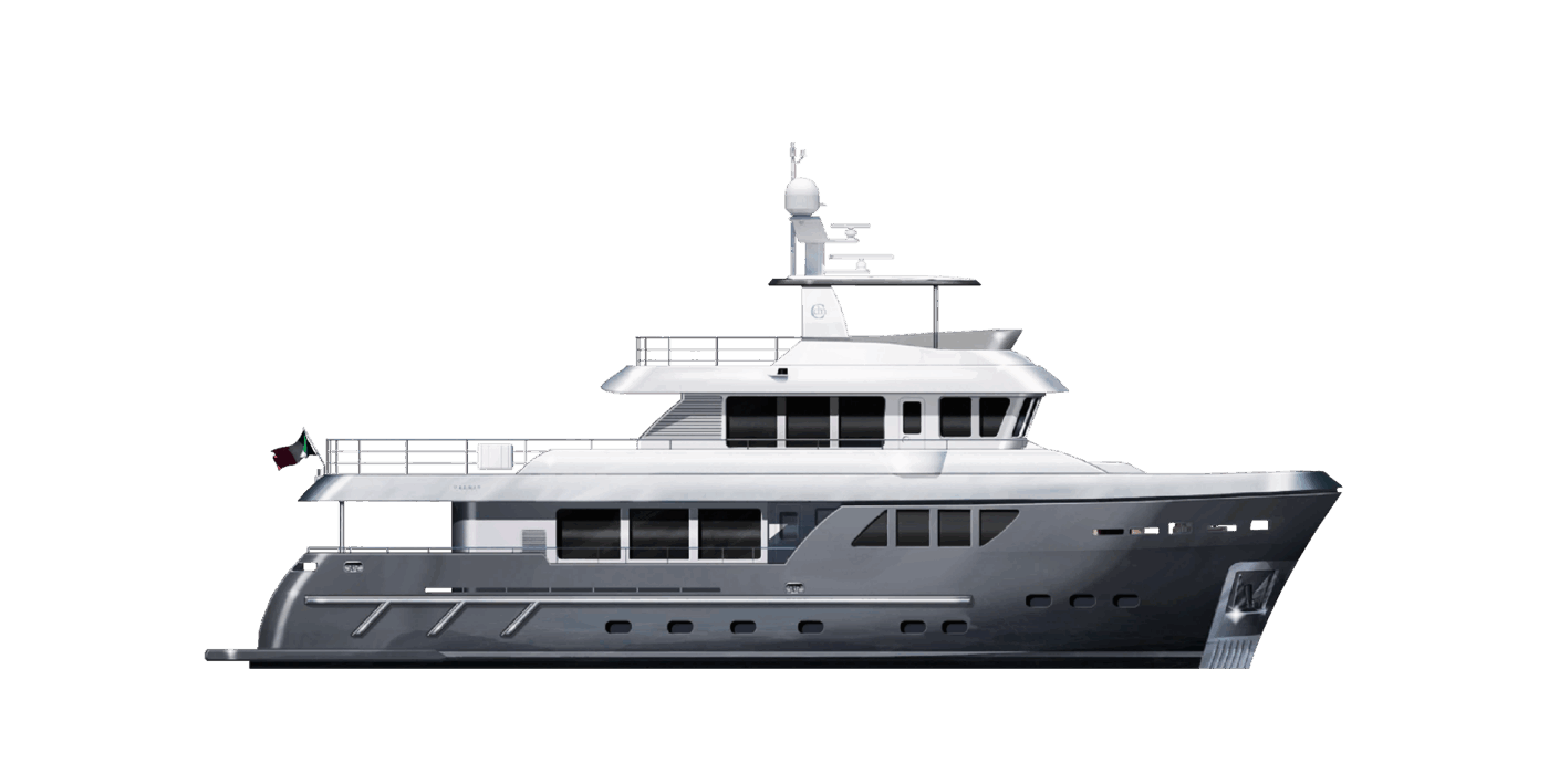 Darwin Class 86 modello